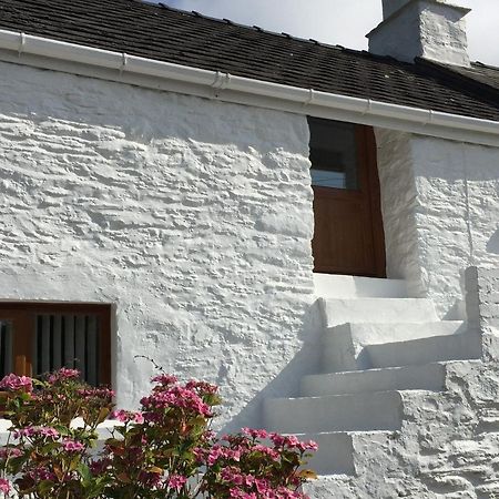 ניופורט Little Barn Cottage מראה חיצוני תמונה
