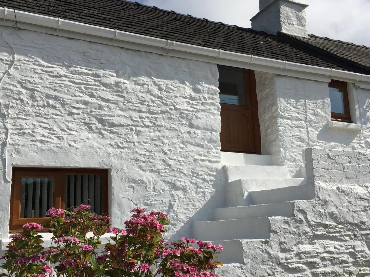 ניופורט Little Barn Cottage מראה חיצוני תמונה
